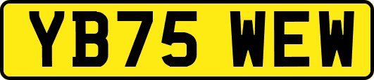 YB75WEW