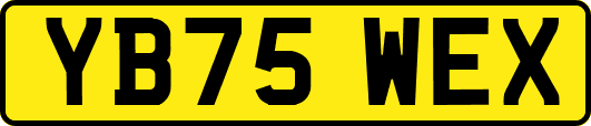 YB75WEX
