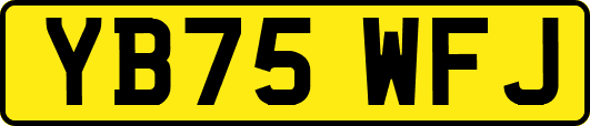 YB75WFJ