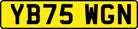 YB75WGN