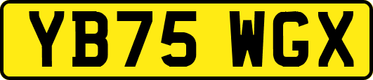 YB75WGX