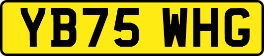 YB75WHG