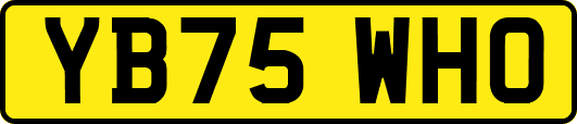 YB75WHO
