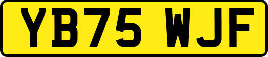YB75WJF