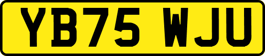 YB75WJU