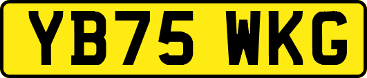 YB75WKG