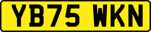 YB75WKN