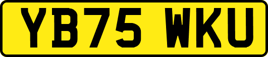 YB75WKU