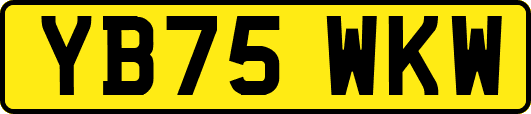 YB75WKW