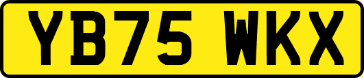 YB75WKX
