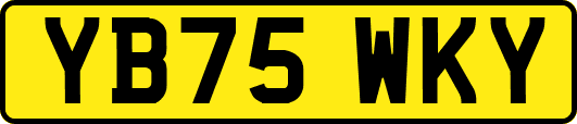 YB75WKY