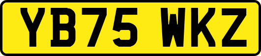 YB75WKZ