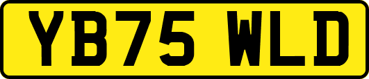 YB75WLD