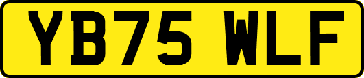YB75WLF