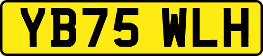 YB75WLH