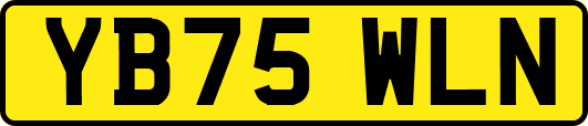 YB75WLN