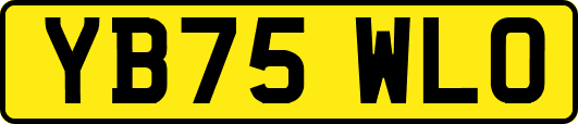 YB75WLO