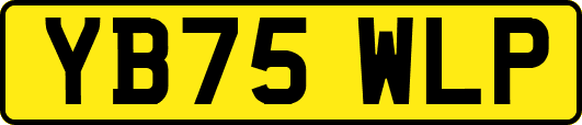 YB75WLP