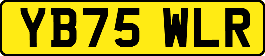YB75WLR