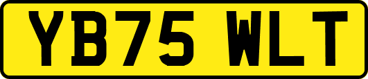 YB75WLT