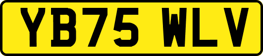 YB75WLV