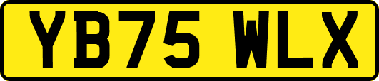 YB75WLX