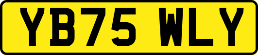 YB75WLY