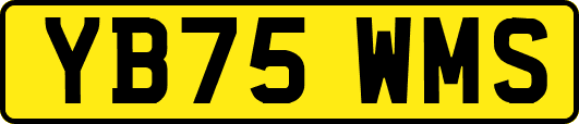 YB75WMS