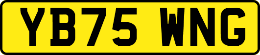 YB75WNG