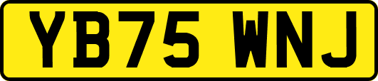YB75WNJ