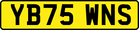 YB75WNS