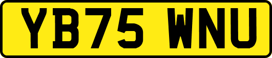 YB75WNU