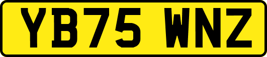 YB75WNZ