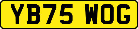 YB75WOG