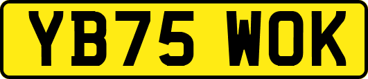 YB75WOK