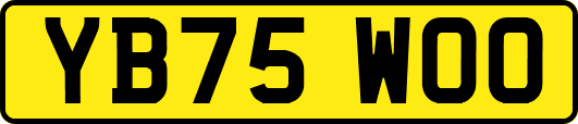 YB75WOO