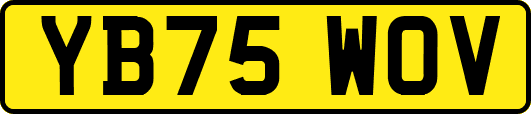 YB75WOV