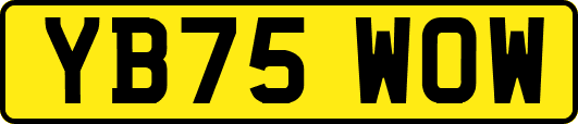 YB75WOW
