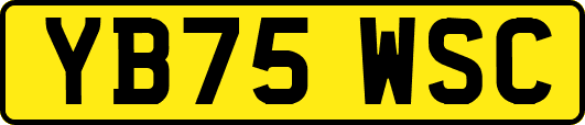 YB75WSC