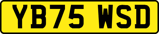 YB75WSD
