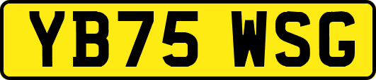 YB75WSG