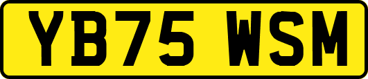 YB75WSM