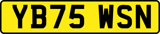 YB75WSN