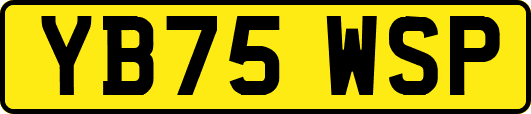 YB75WSP