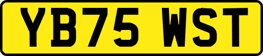 YB75WST