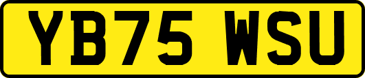 YB75WSU