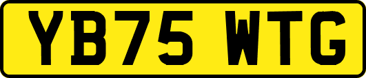 YB75WTG