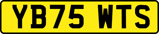 YB75WTS