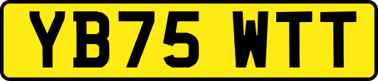 YB75WTT