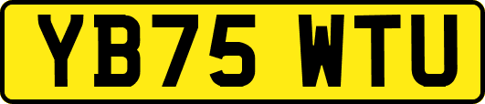 YB75WTU